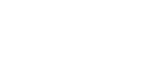 FISCOFIN